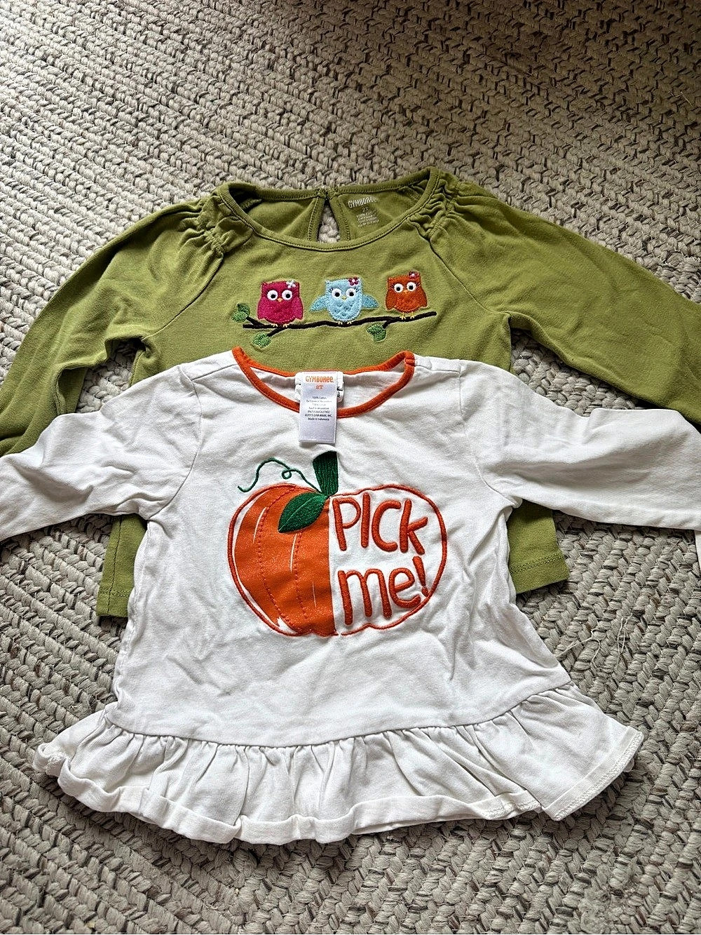 Fall shirt Gymboree Embroidered Owl Pumpkin Dress Green & White Size 2T